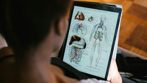 Rekordowo niskie zainteresowanie kredytem medycznym na studia