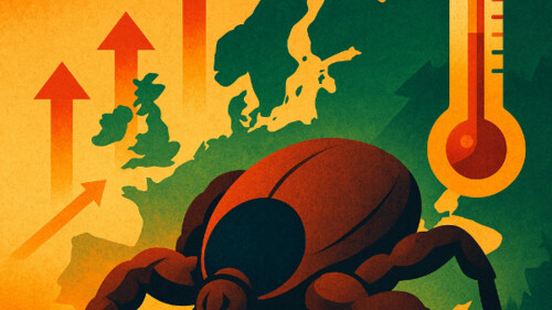 Kleszcze na sterydach - borelioza w natarciu